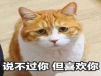 曾都区吴亨贸易店