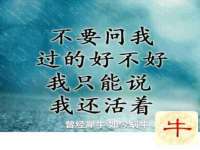 曾都区吴亨贸易店