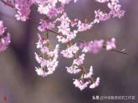 曾都区吴亨贸易店