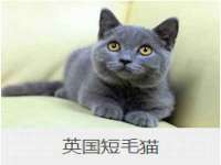 曾都区吴亨贸易店