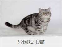 曾都区吴亨贸易店