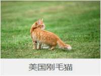 曾都区吴亨贸易店