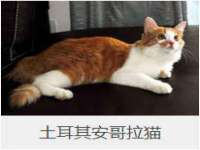曾都区吴亨贸易店