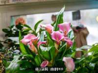 曾都区吴亨贸易店