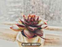 曾都区吴亨贸易店
