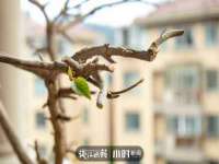 曾都区吴亨贸易店