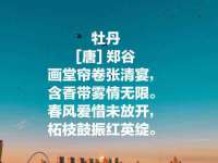 曾都区吴亨贸易店