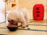 曾都区吴亨贸易店