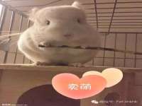 曾都区吴亨贸易店