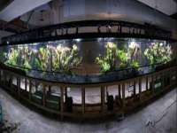 曾都区吴亨贸易店