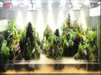 曾都区吴亨贸易店