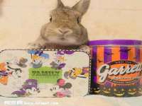 曾都区吴亨贸易店