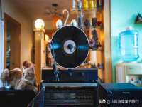 曾都区吴亨贸易店