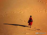 曾都区吴亨贸易店
