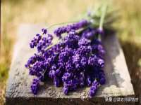 曾都区吴亨贸易店